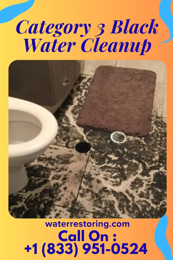 Category 3 Black Water Cleanup in St. James City, FL
