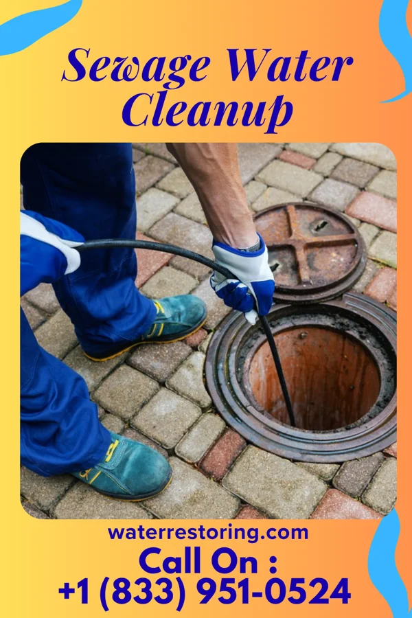 Sewage Water Cleanup in St. James City, FL